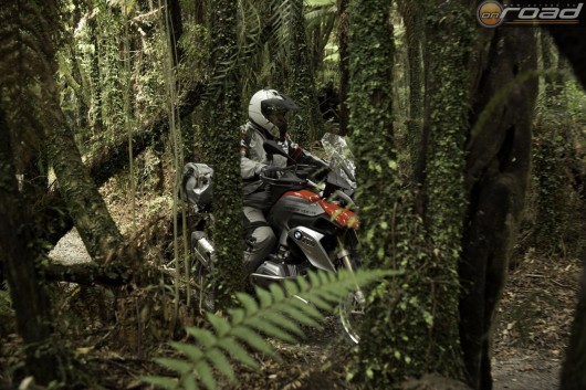 A mezőny legidősebb motorosa az új-zélandi erdőkben