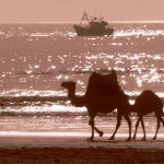 Marokkó túra onroad 128 Hajók ellenfényben