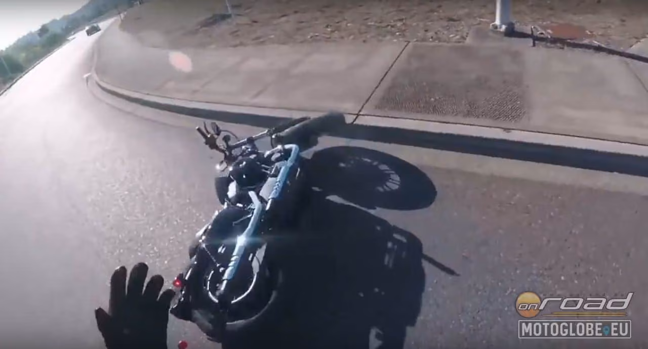 Harley a földön