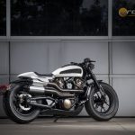 Custom-Harley-Davidson-Onroad-2