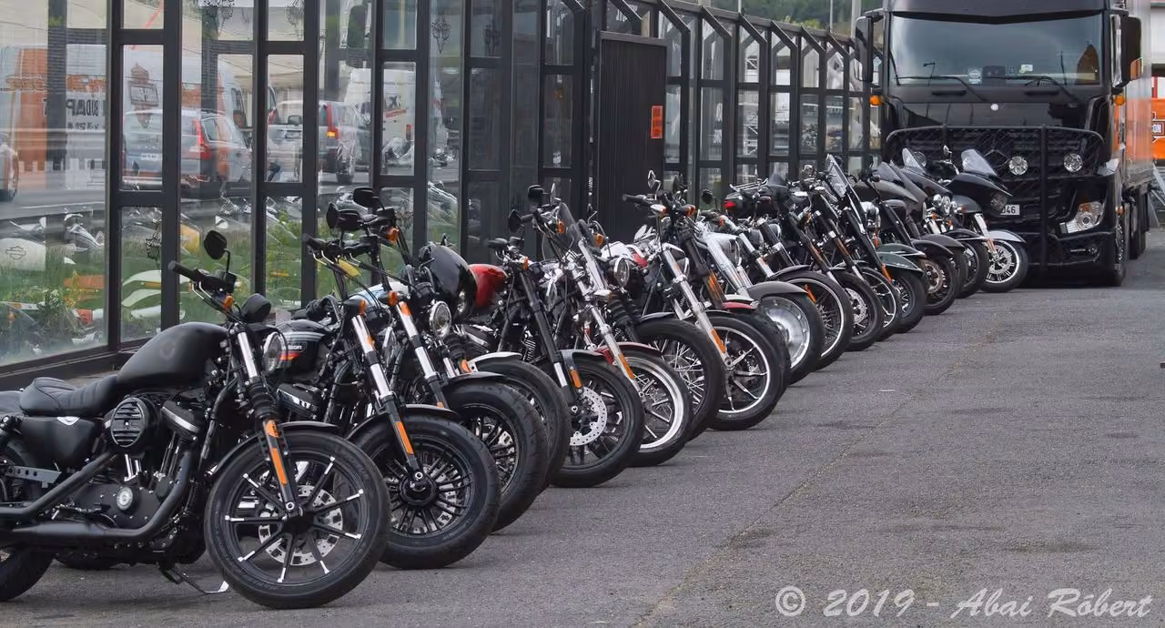 Velencei-tó, bacon és Harley-Davidson Low Rider